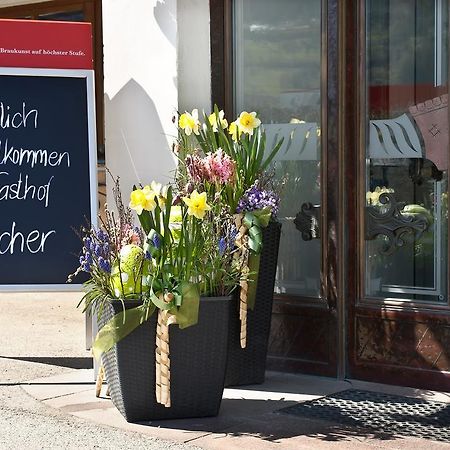 Gasthaus Bacher Hotel Sankt Johann im Pongau Ngoại thất bức ảnh